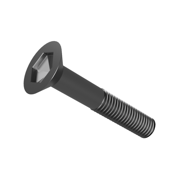 NAAMS Socket Flat Head Cap Screw F032024B M20 x 2.5 x 100